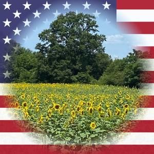 Meet your Posher, Ashley e.